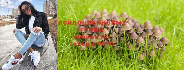 дурь Краснотурьинск