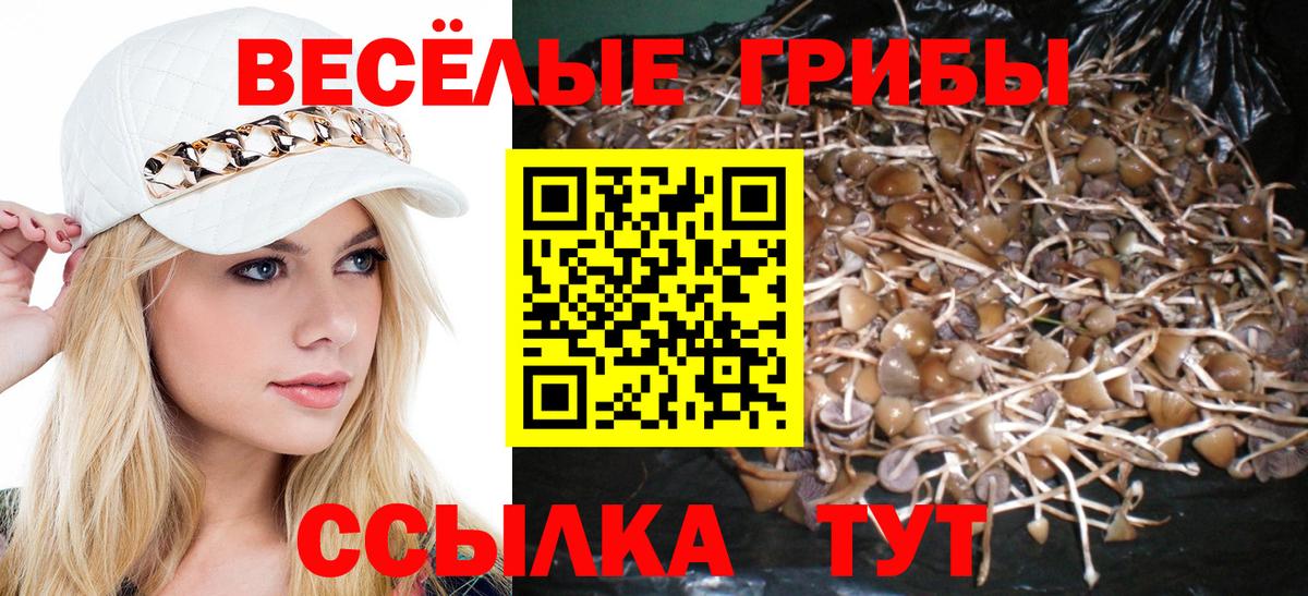 Псилоцибиновые грибы Magic Shrooms  Вход с VPN  Дальнереченск 