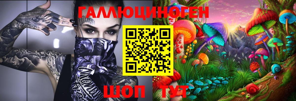 Псилоцибиновые грибы Cubensis Дальнереченск