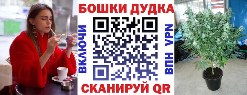 Бошки марихуана LSD WEED  Купить закладки  Дальнереченск 